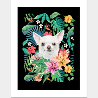 Tropical Short Haired White Chihuahua 4 Posters and Art